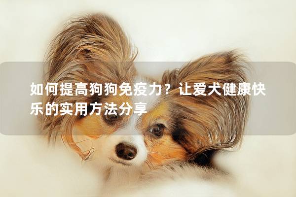 如何提高狗狗免疫力?让爱犬健康快乐的实用方法分享 如何提高狗狗免疫力?让爱犬健康快乐的实用方法分享