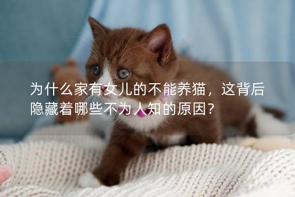 为什么家有女儿的不能养猫，这背后隐藏着哪些不为人知的原因？
