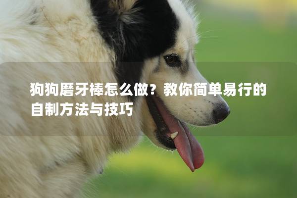 狗狗磨牙棒怎么做？教你简单易行的自制方法与技巧