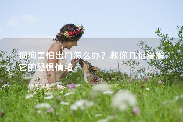 狗狗害怕出门怎么办？教你几招缓解它的恐惧情绪