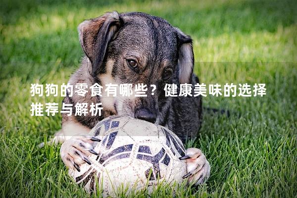 狗狗的零食有哪些？健康美味的选择推荐与解析