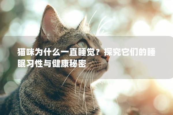 猫咪为什么一直睡觉？探究它们的睡眠习性与健康秘密