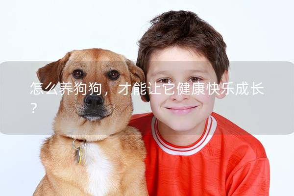怎么养狗狗，才能让它健康快乐成长？