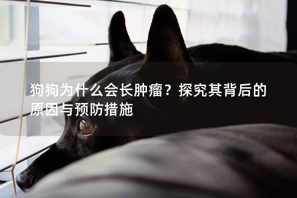 狗狗为什么会长肿瘤？探究其背后的原因与预防措施