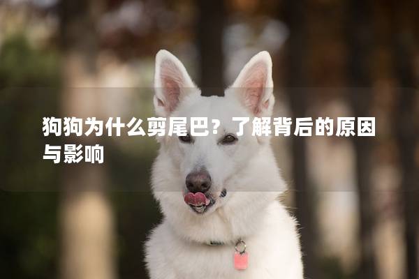 狗狗为什么剪尾巴？了解背后的原因与影响