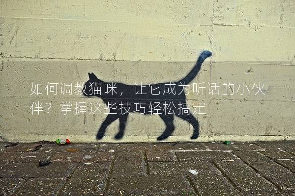 如何调教猫咪，让它成为听话的小伙伴？掌握这些技巧轻松搞定
