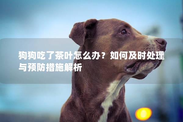 狗狗吃了茶叶怎么办？如何及时处理与预防措施解析