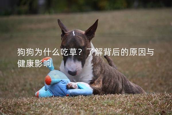 狗狗为什么吃草？了解背后的原因与健康影响