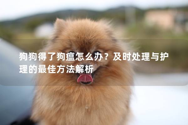 狗狗得了狗瘟怎么办？及时处理与护理的最佳方法解析