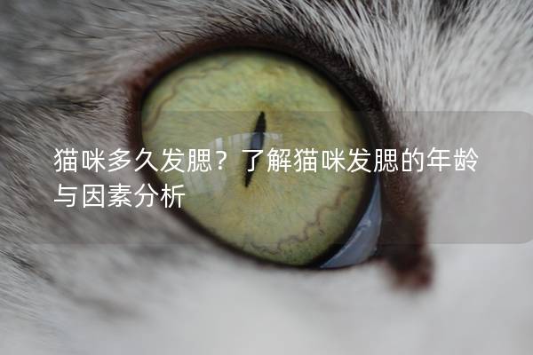 猫咪多久发腮?了解猫咪发腮的年龄与因素分析 猫咪多久发腮?了解猫咪发腮的年龄与因素分析