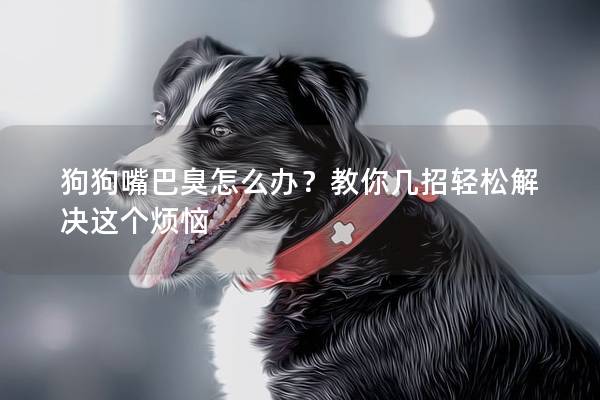 狗狗嘴巴臭怎么办？教你几招轻松解决这个烦恼
