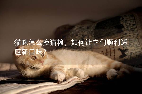猫咪怎么换猫粮，如何让它们顺利适应新口味？
