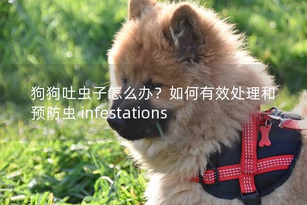 狗狗吐虫子怎么办?如何有效处理和预防虫 infestations 狗狗吐虫子怎么办?如何有效处理和预防虫 infestations