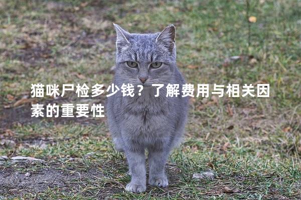 猫咪尸检多少钱？了解费用与相关因素的重要性