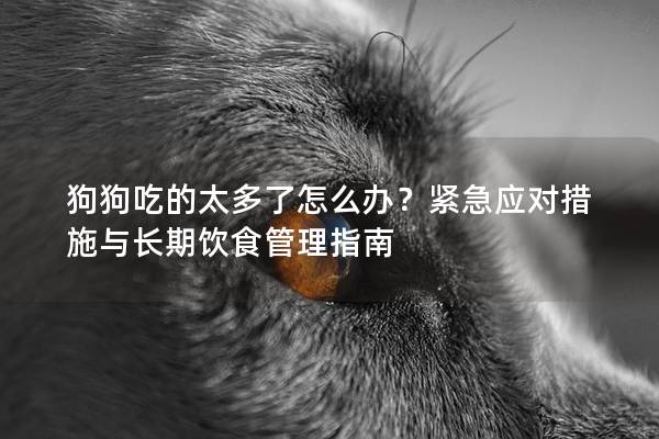 狗狗吃的太多了怎么办？紧急应对措施与长期饮食管理指南