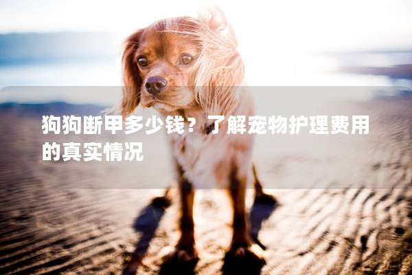 狗狗断甲多少钱？了解宠物护理费用的真实情况