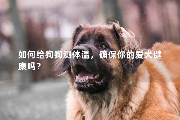 如何给狗狗测体温,确保你的爱犬健康吗? 如何给狗狗测体温,确保你的爱犬健康吗?