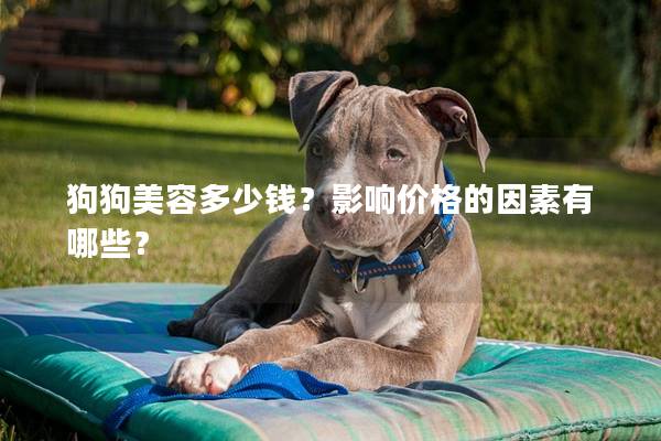 狗狗美容多少钱？影响价格的因素有哪些？