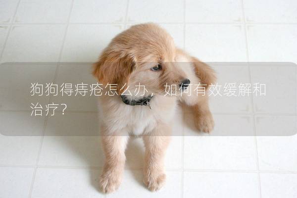 狗狗得痔疮怎么办，如何有效缓解和治疗？