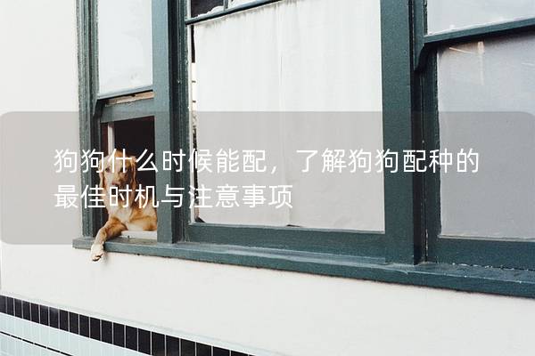 狗狗什么时候能配，了解狗狗配种的最佳时机与注意事项