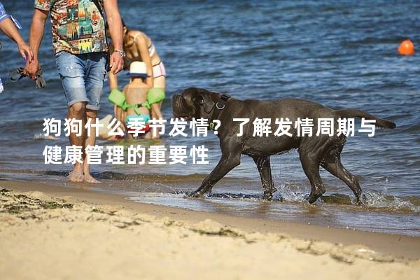狗狗什么季节发情？了解发情周期与健康管理的重要性