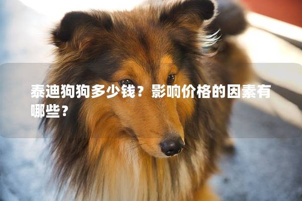 泰迪狗狗多少钱？影响价格的因素有哪些？