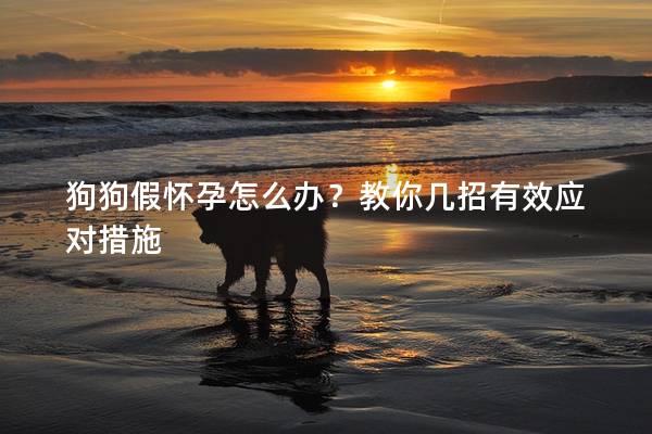 狗狗假怀孕怎么办？教你几招有效应对措施