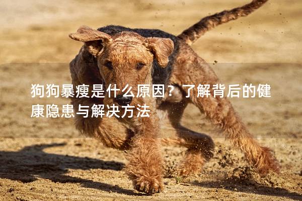 狗狗暴瘦是什么原因？了解背后的健康隐患与解决方法