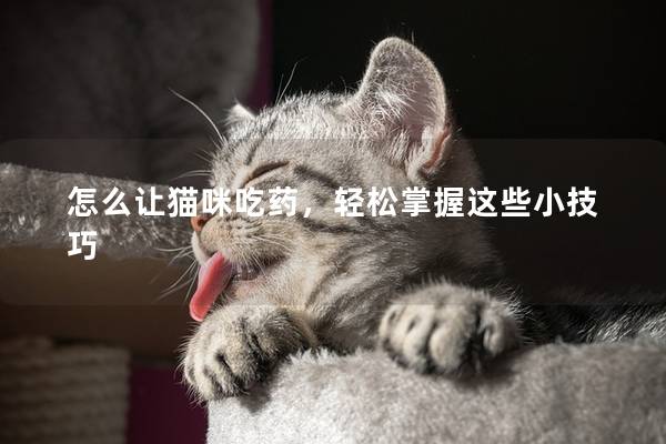 怎么让猫咪吃药，轻松掌握这些小技巧