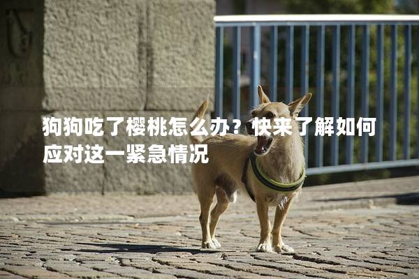 狗狗吃了樱桃怎么办?快来了解如何应对这一紧急情况 狗狗吃了樱桃怎么办?快来了解如何应对这一紧急情况