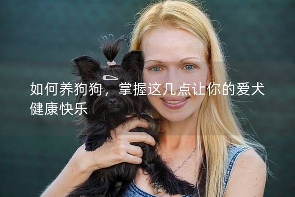 如何养狗狗,掌握这几点让你的爱犬健康快乐 如何养狗狗,掌握这几点让你的爱犬健康快乐
