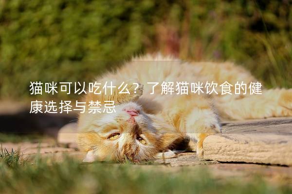猫咪可以吃什么？了解猫咪饮食的健康选择与禁忌