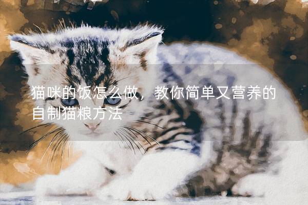 猫咪的饭怎么做，教你简单又营养的自制猫粮方法