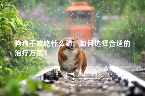 狗狗干咳吃什么药，如何选择合适的治疗方案？
