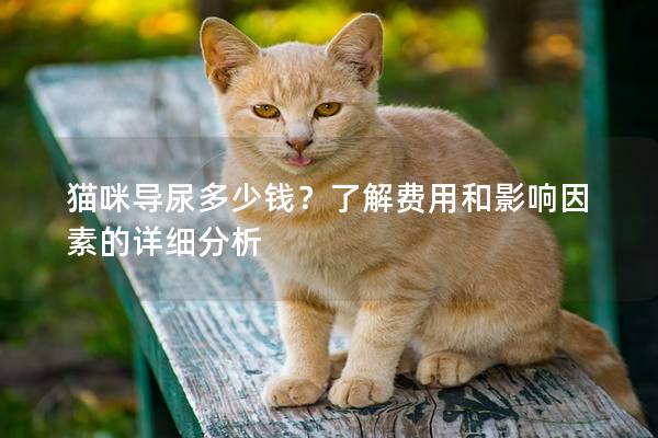 猫咪导尿多少钱？了解费用和影响因素的详细分析