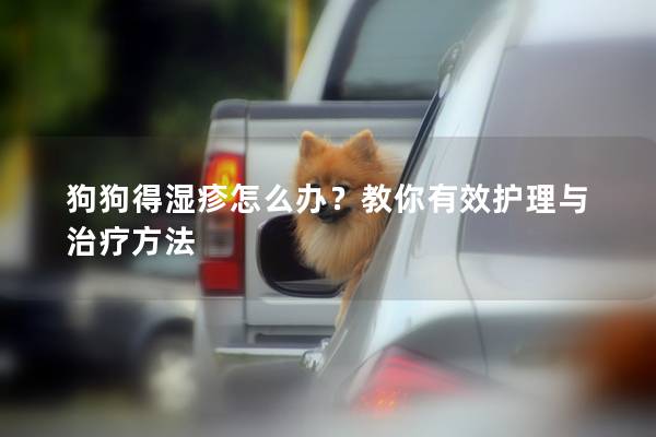 狗狗得湿疹怎么办？教你有效护理与治疗方法