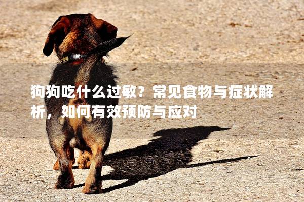 狗狗吃什么过敏？常见食物与症状解析，如何有效预防与应对