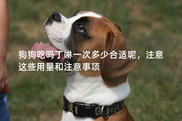 狗狗吃吗丁啉一次多少合适呢，注意这些用量和注意事项