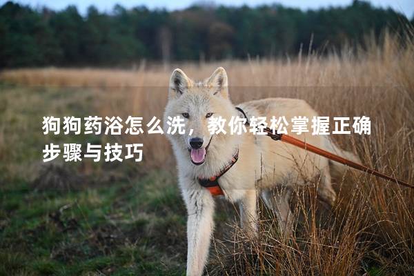 狗狗药浴怎么洗，教你轻松掌握正确步骤与技巧