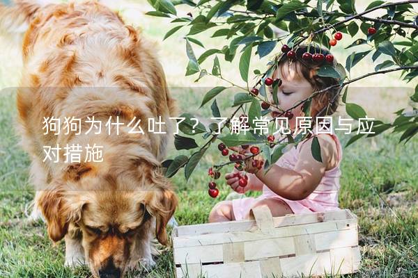 狗狗为什么吐了？了解常见原因与应对措施