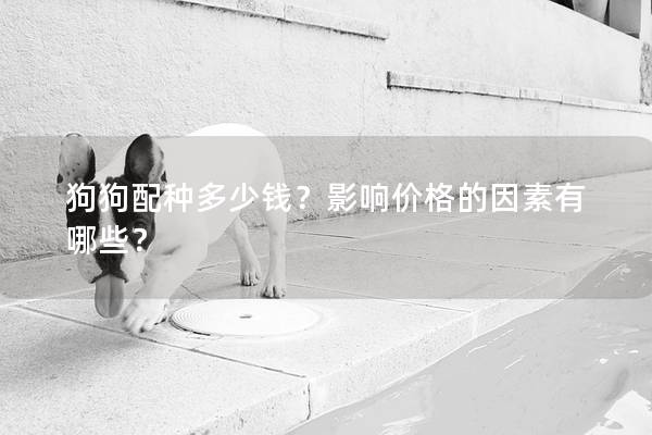 狗狗配种多少钱？影响价格的因素有哪些？