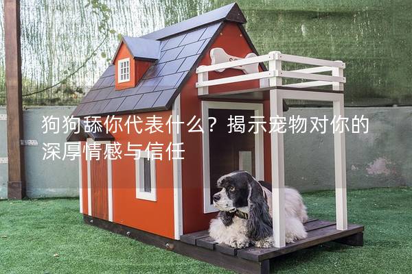 狗狗舔你代表什么？揭示宠物对你的深厚情感与信任