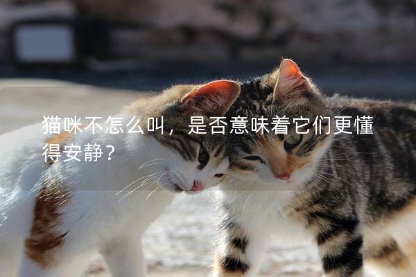 猫咪不怎么叫，是否意味着它们更懂得安静？