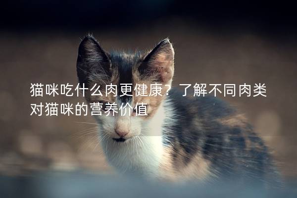猫咪吃什么肉更健康？了解不同肉类对猫咪的营养价值