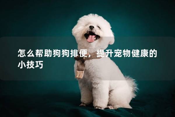 怎么帮助狗狗排便，提升宠物健康的小技巧