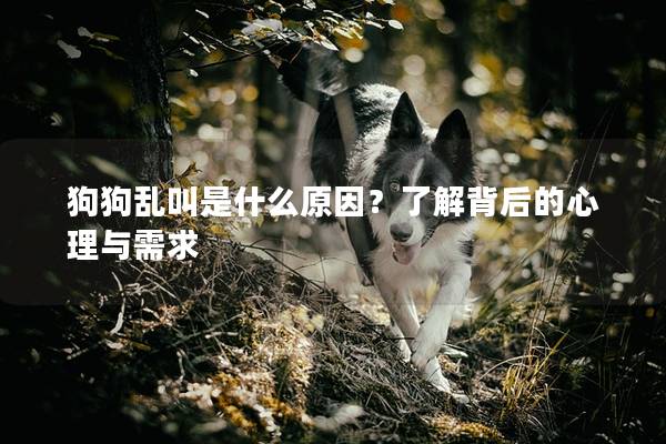 狗狗乱叫是什么原因？了解背后的心理与需求