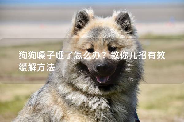狗狗嗓子哑了怎么办？教你几招有效缓解方法