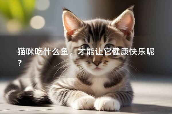 猫咪吃什么鱼，才能让它健康快乐呢？