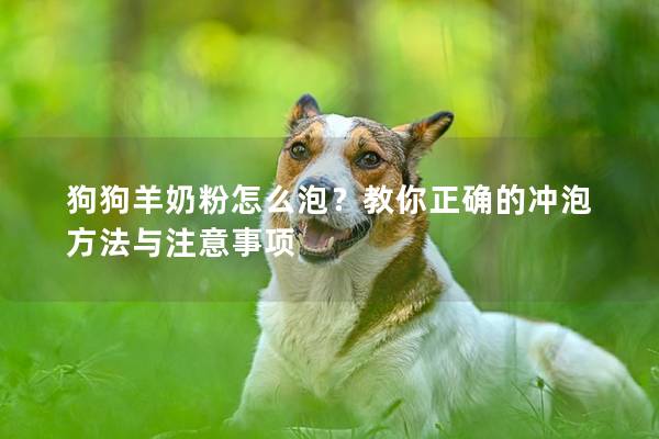 狗狗羊奶粉怎么泡？教你正确的冲泡方法与注意事项