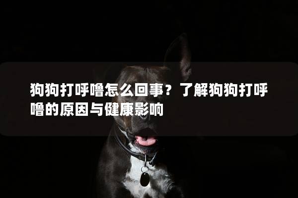狗狗打呼噜怎么回事?了解狗狗打呼噜的原因与健康影响 狗狗打呼噜怎么回事?了解狗狗打呼噜的原因与健康影响